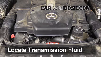 Fix Transmission Fluid Leaks Mercedes-Benz E500 (2003-2009) - 2006